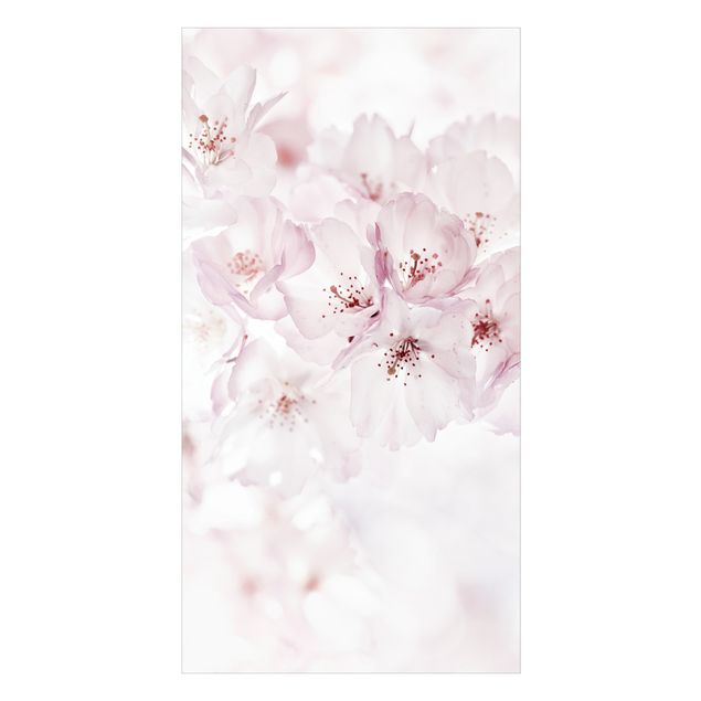 Revêtement mural de douche - A Touch Of Cherry Blossoms