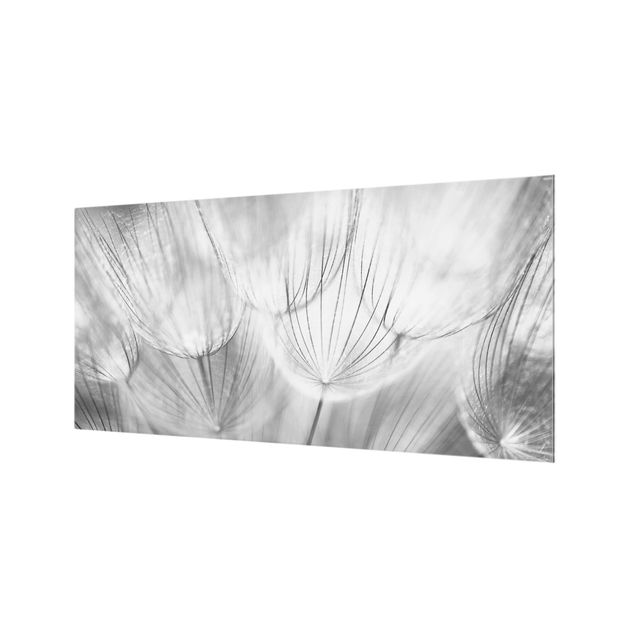 Fond de hotte - Dandelions Macro Shot In Black And White