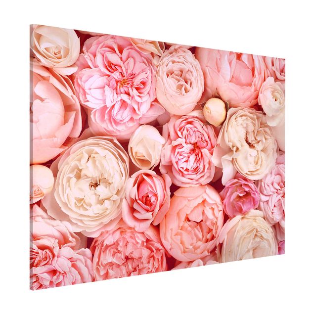 Déco mur cuisine Roses Coral Shabby en rose