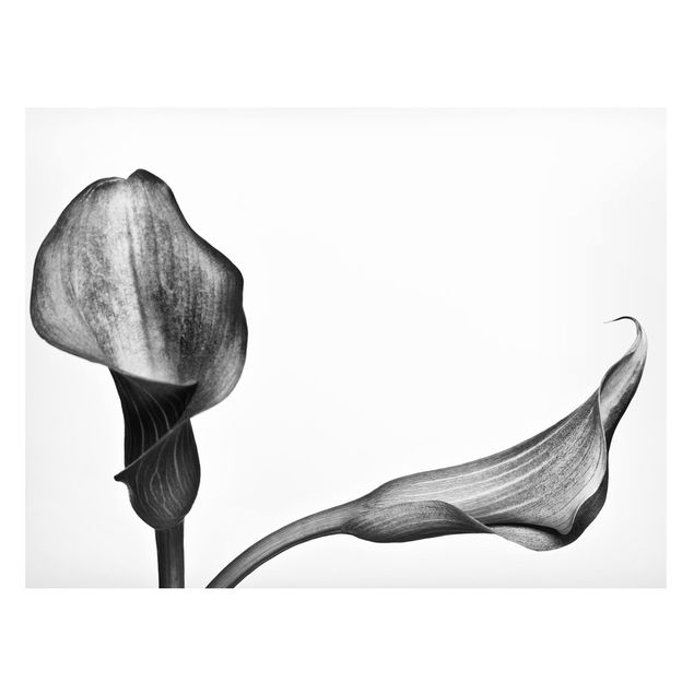 Tableaux magnétiques avec fleurs Gros plan de Calla Noir Et Blanc