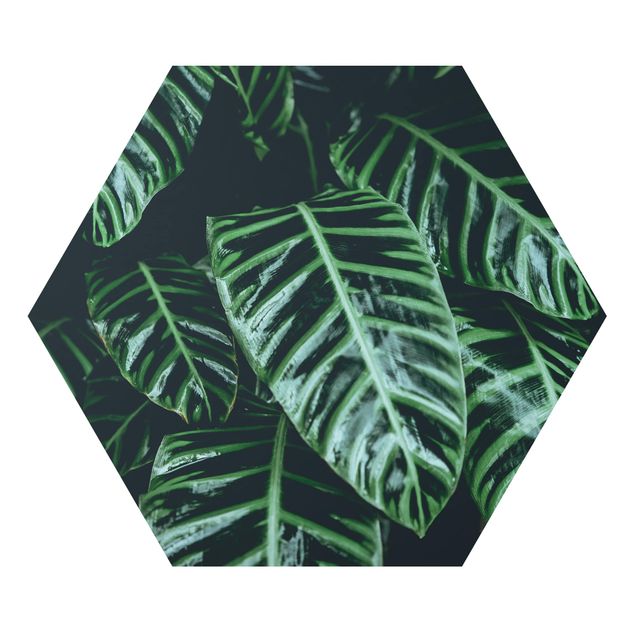 Tableaux verts Plantes Tropicales IV
