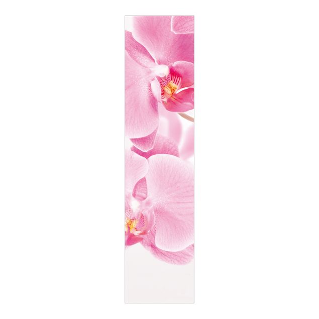 Panneaux coulissants avec fleurs Orchidées délicates