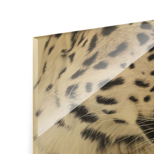 Tableaux en verre magnétique Le léopard