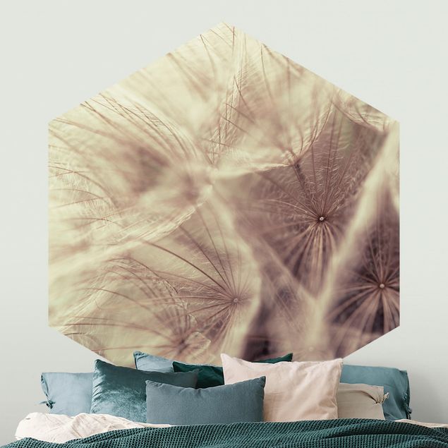Papier peint pissenlit Macro photo détaillée d'un pissenlit avec effet de flou vintage