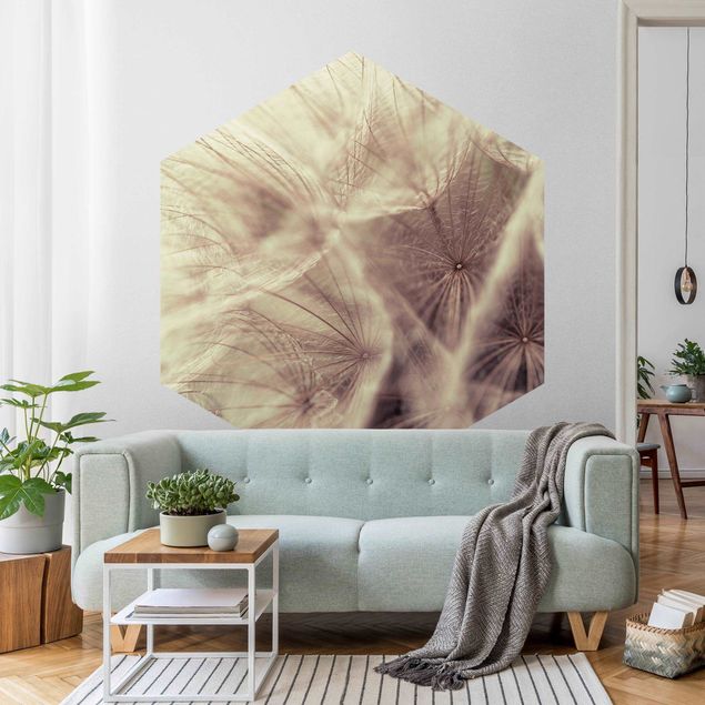 Papier peint floral Macro photo détaillée d'un pissenlit avec effet de flou vintage