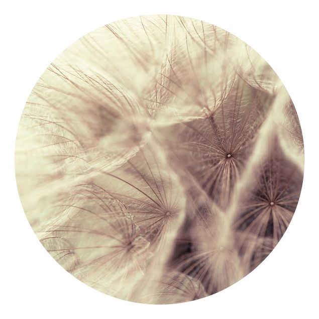 papier peint fleuri Macro photo détaillée d'un pissenlit avec effet de flou vintage