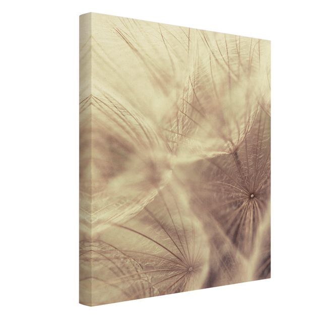 Tableaux florals Macro photo détaillée d'un pissenlit avec effet de flou vintage
