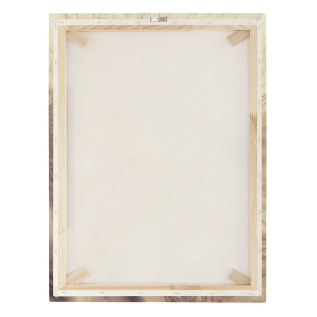 Tableaux toile Macro photo détaillée d'un pissenlit avec effet de flou vintage