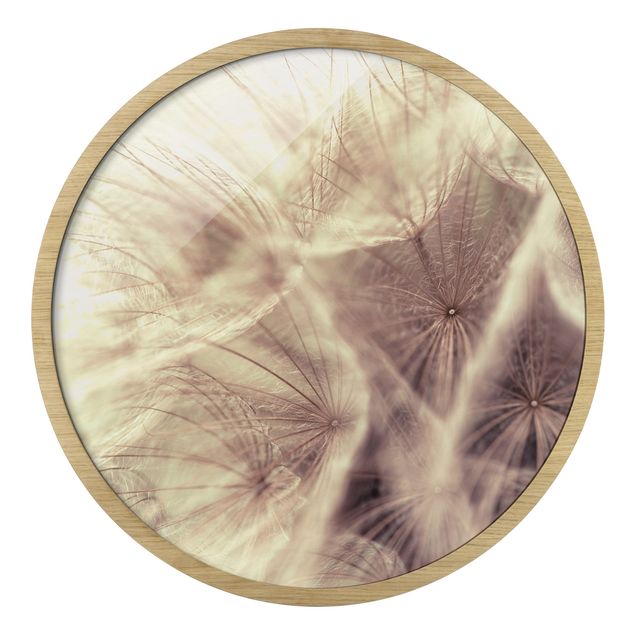 Tableau décoration Macro photo détaillée d'un pissenlit avec effet de flou vintage