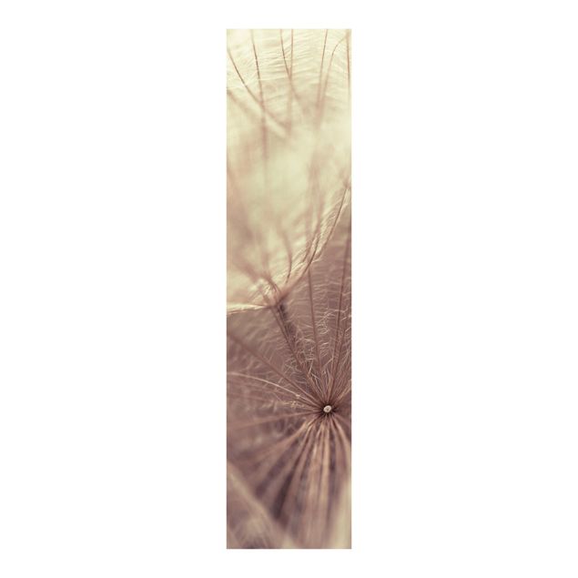 Panneaux coulissants avec fleurs Macro photo détaillée d'un pissenlit avec effet de flou vintage