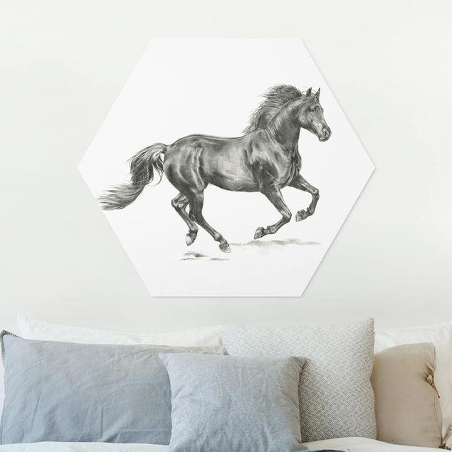 Tableau chevaux Cheval sauvage - Étalon