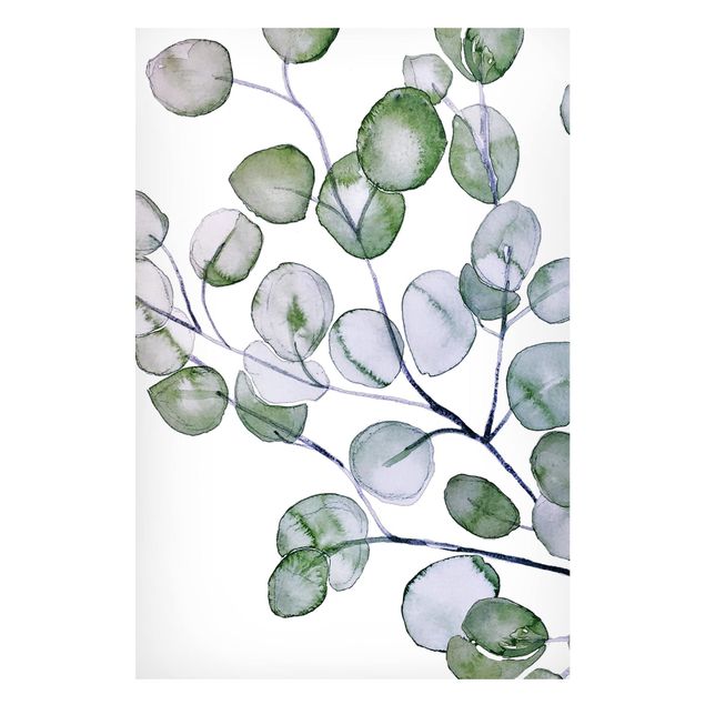 Tableaux magnétiques avec fleurs Branche d'eucalyptus vert aquarelle