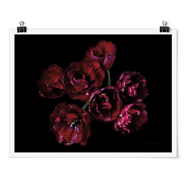 Tableaux noirs Double tulips in red