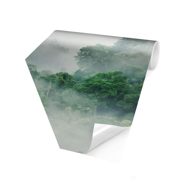Papier peint vert Jungle dans le brouillard