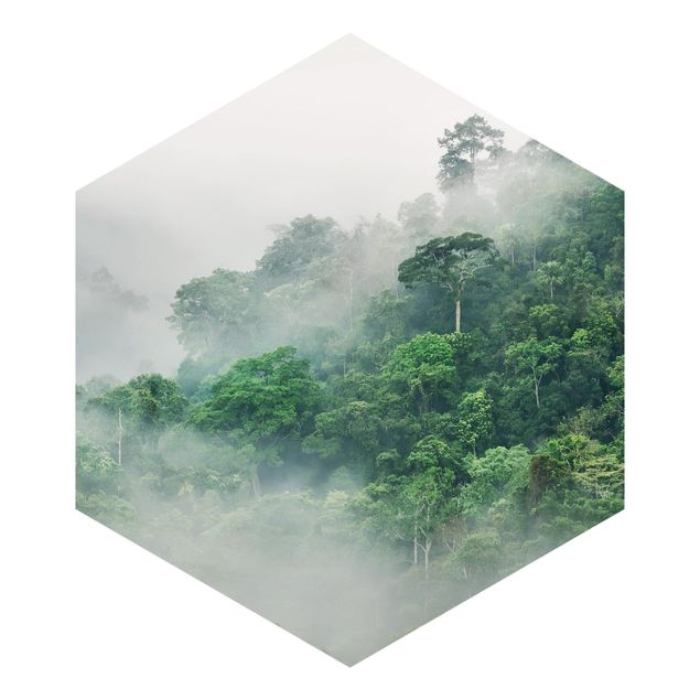 Papier peint panoramique Jungle dans le brouillard