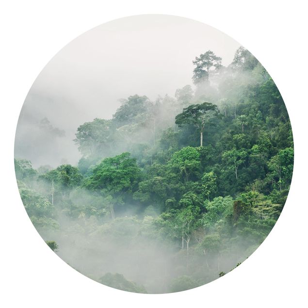 Papier peint panoramique forêt Jungle dans le brouillard