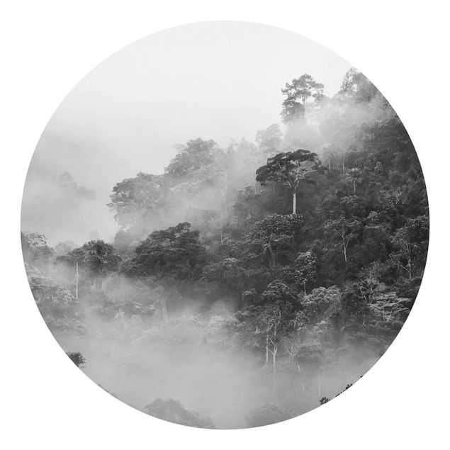 Papier peint panoramique noir et blanc Jungle Dans Le Brouillard Noir Et Blanc