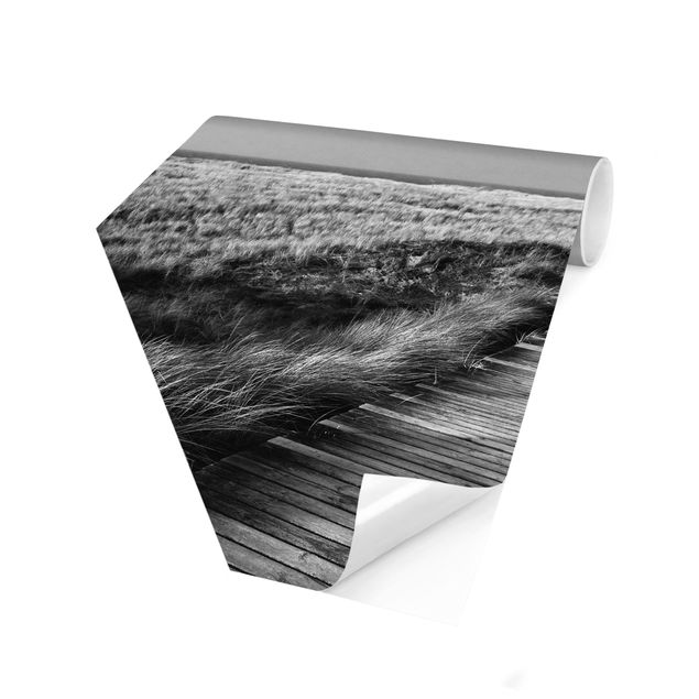 Papier peint panoramique noir et blanc Dune Path On Sylt II
