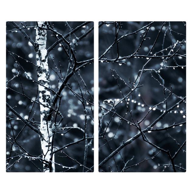 Cache plaques de cuisson - Dark Birch Tree In Cold Rain