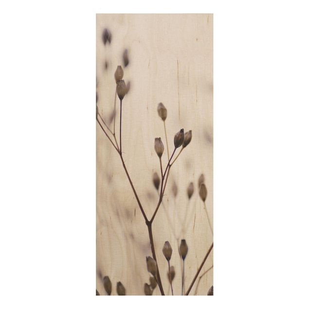 Tableaux en bois avec fleurs Bourgeons sombres sur un rameau de fleurs sauvages