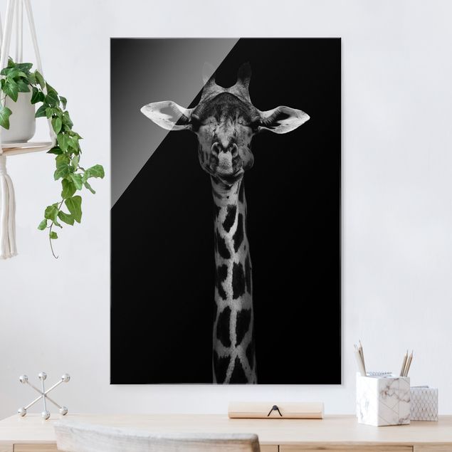 Déco murale cuisine Portrait de girafe sombre