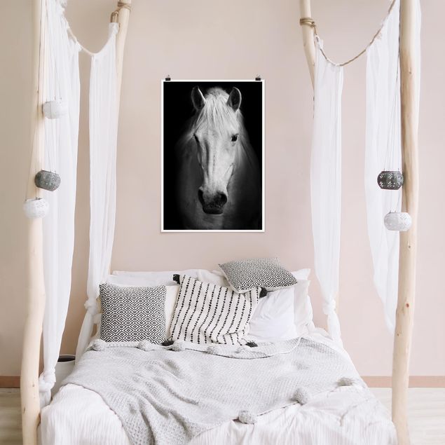 Posters en noir et blanc Rêve d'un cheval