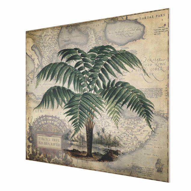 Tableaux modernes Collage Vintage - Palmier et carte du monde