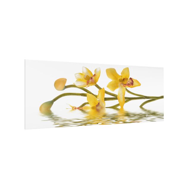 Fonds de hotte Eaux d'orchidées safranées
