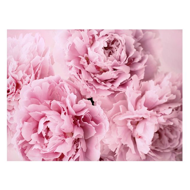Tableaux magnétiques avec fleurs Pivoines roses