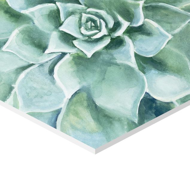 Tableau hexagonal Succulent Plant Watercolour Dark