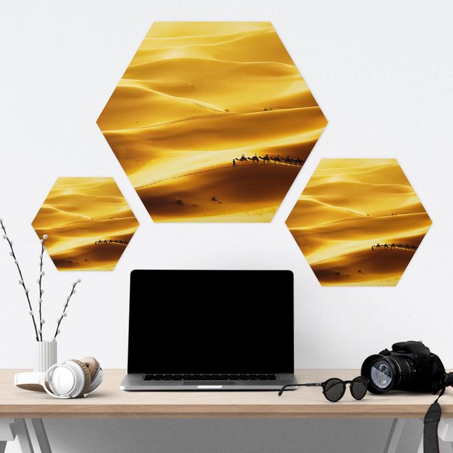 Hexagone en alu Dibond - Golden Dunes