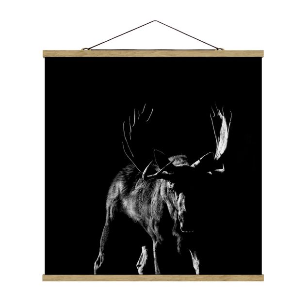Tableau animaux Bull In The Dark