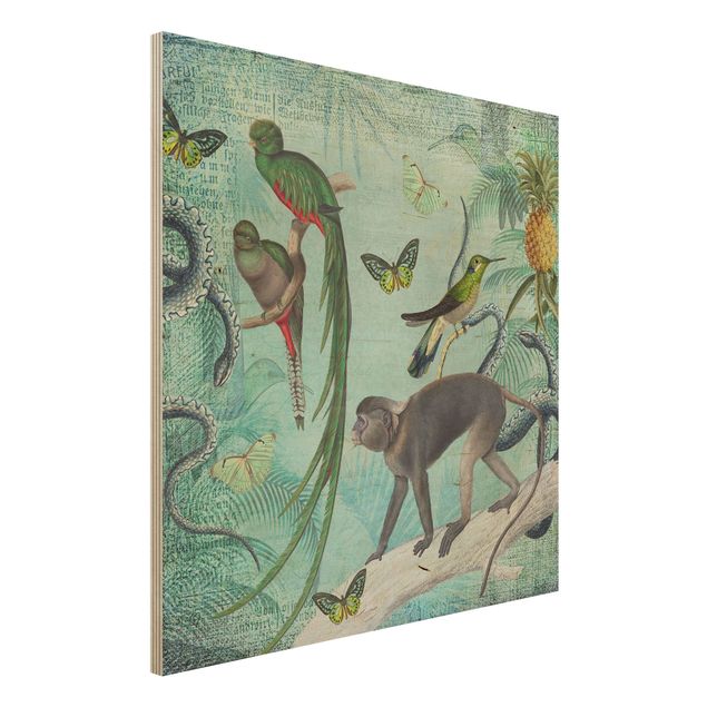 Décorations cuisine Collage de style colonial - Singes et oiseaux de paradis