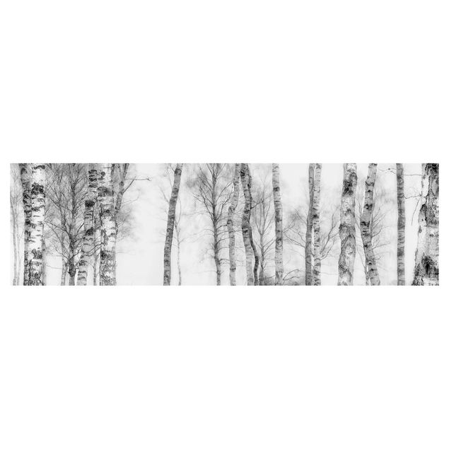 Revêtement mural cuisine - Mystic Birch Forest Black And White