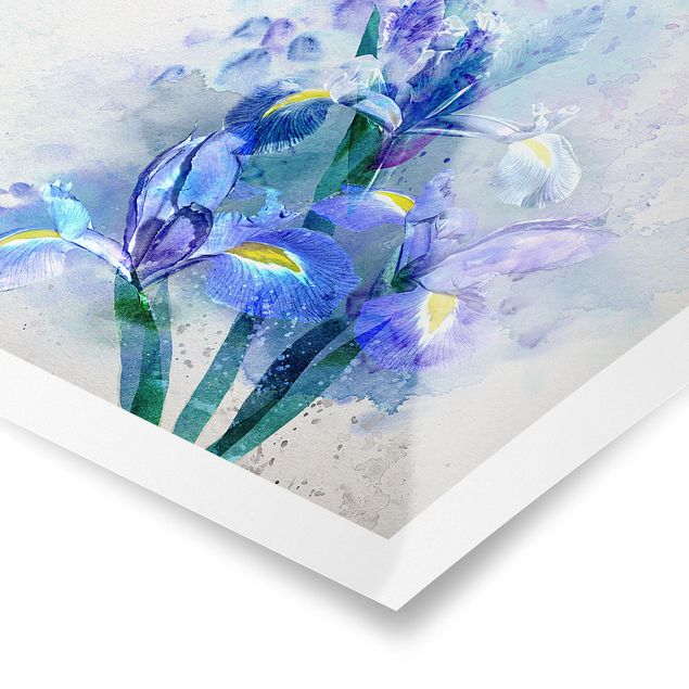 Tableau ton bleu Aquarelle Fleurs Iris