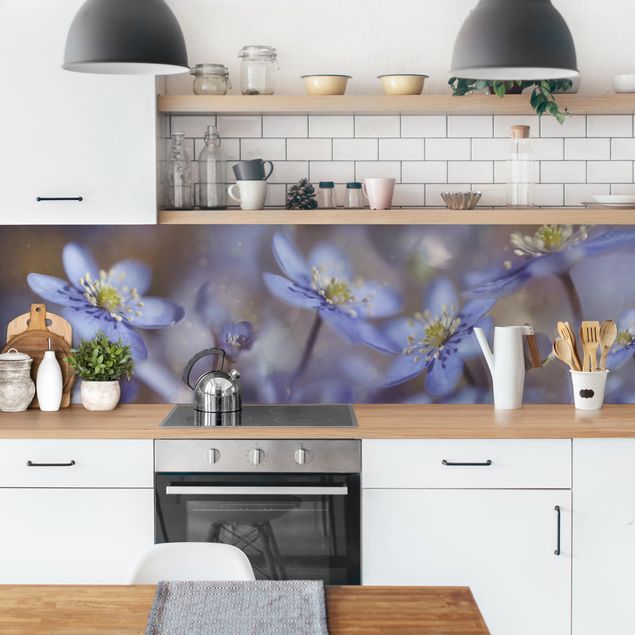 Crédence cuisine fleurs Anémone en bleu