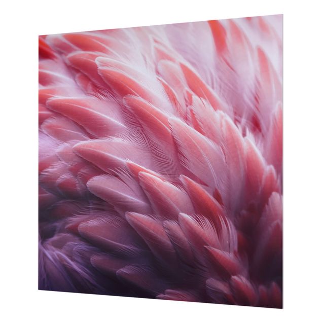 Fonds de hotte - Flamingo Feathers Close-Up - Carré 1:1