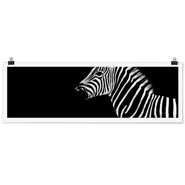 Tableaux modernes Zebra Safari Art