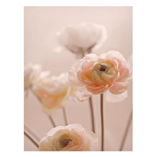 Tableaux magnétiques avec fleurs Délicat bouquet de fleurs rose pâle