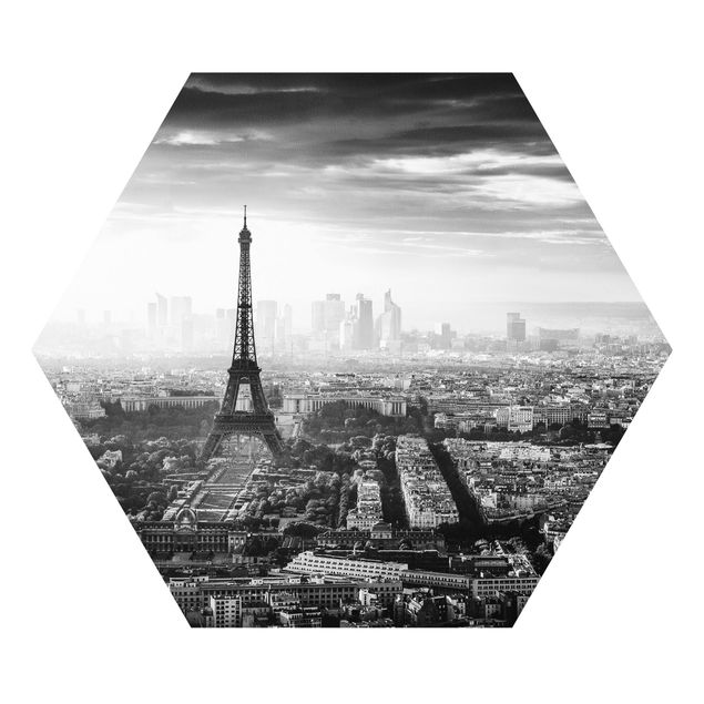 Forex tableau La Tour Eiffel vue du ciel en noir et blanc
