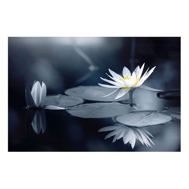 Tableaux magnétiques avec fleurs Reflet de lotus dans l'eau
