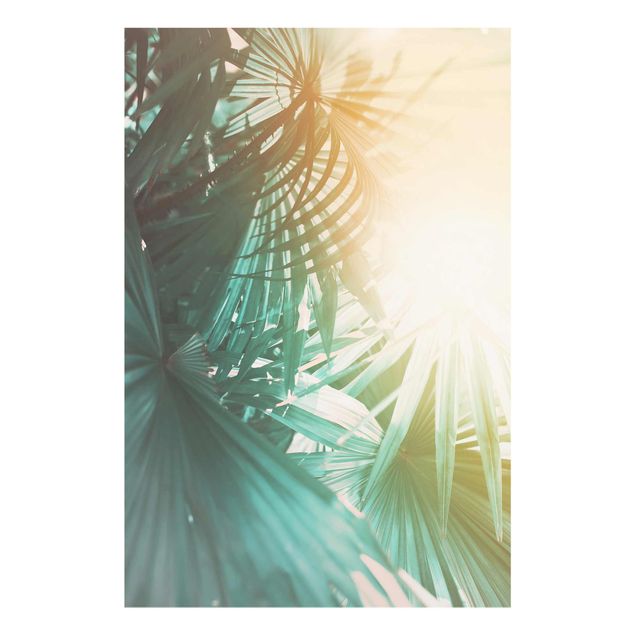 Tableaux moderne Plantes Tropicales Palmiers au Coucher du Soleil