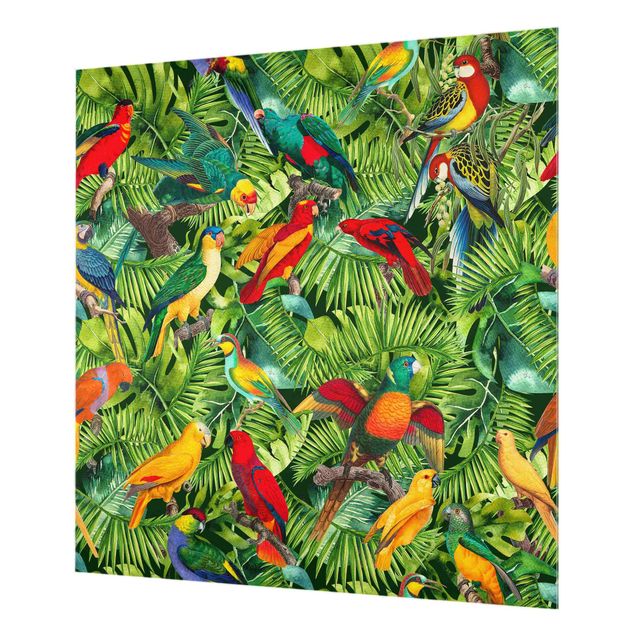 Fonds de hotte - Colourful Collage - Parrots In The Jungle