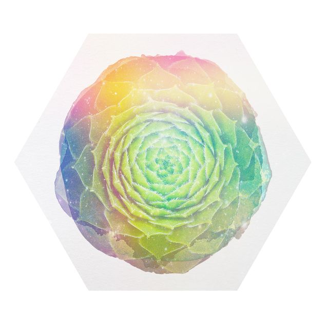 Forex tableau Aquarelles - Mandala Succulent