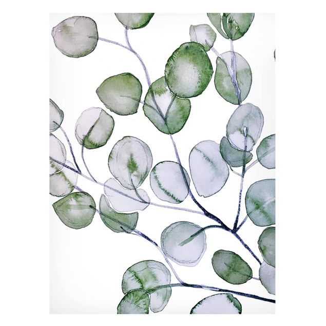 Tableaux magnétiques avec fleurs Branche d'eucalyptus vert aquarelle