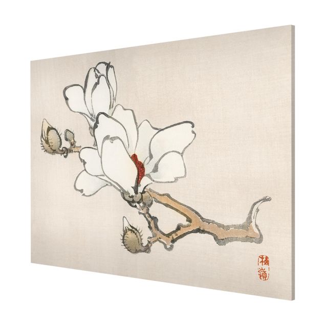 Tableau fleurs Dessin vintage asiatique Magnolia blanc