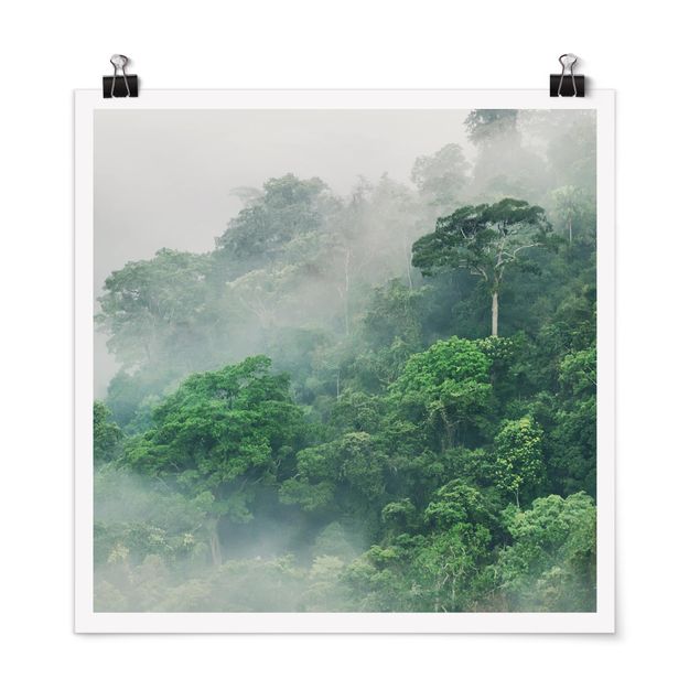 Tableaux arbres Jungle dans le brouillard