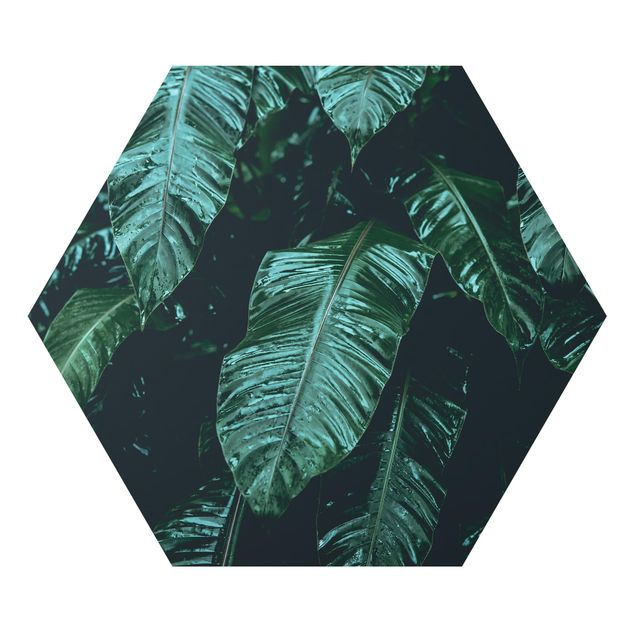 Tableaux verts Plantes tropicales II