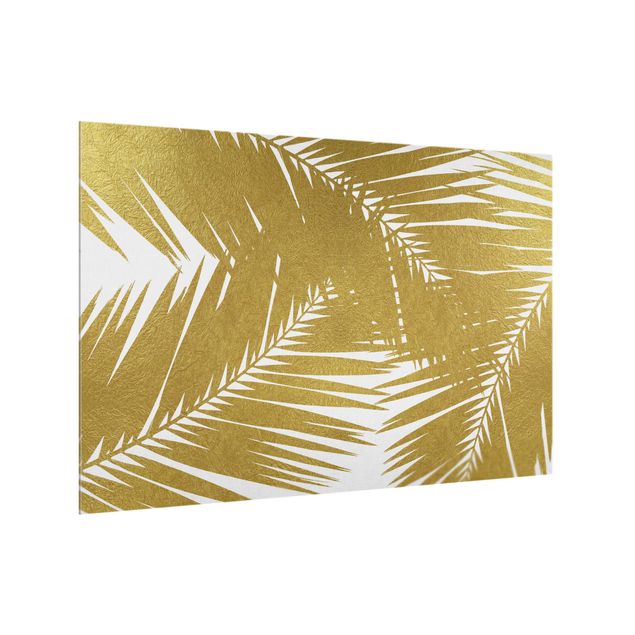 Fond de hotte verre Vue à travers des feuilles de palmier dorées