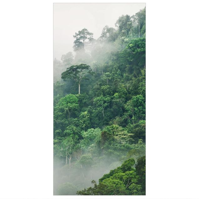 Panneau de séparation - Jungle In The Fog